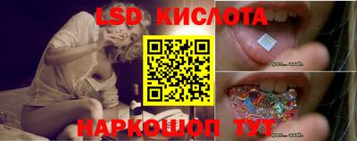 Альфа ПВП Новодвинск