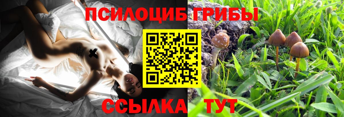 Галлюциногенные грибы ЛСД  Вход с VPN  Чебоксары 